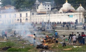 11118111_10203833085299187_404646454_n