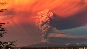 11119176_10203832036552969_649680943_n