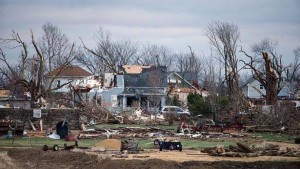 11134466_10203734660438627_702381364_n