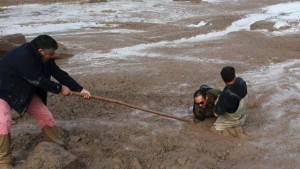 11136801_10203692431822938_1905858222_n