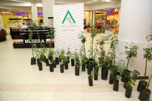 11156151_828171407253833_2766921914390544546_n