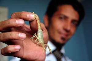 11156862_10203777525470226_2015507204_n