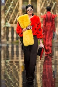 11156936_10203754578776573_1175403484_n