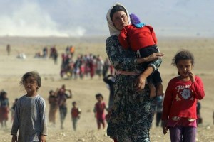 11157013_363707510502105_1309944378_n