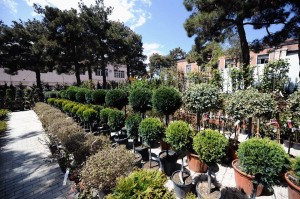 11157981_366511516877573_376116589_n