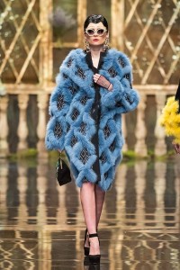 11158191_10203754577776548_1082086193_n