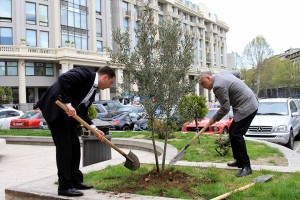 11159553_380488165476900_5640684418321134672_n