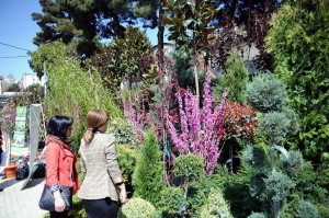 11160485_366511523544239_461495348_n