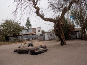 11160526_10203832036472967_2097748050_n