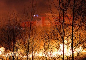 11160542_10203770074683961_1285312950_n