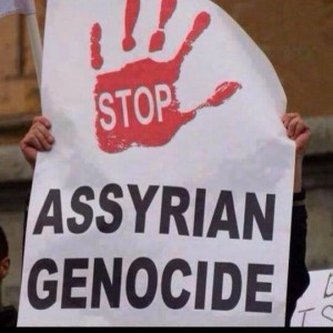 11164124_363707323835457_1880913048_n