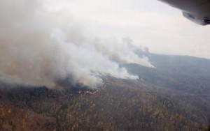 11165985_10203770074283951_762118060_n