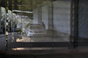 11166069_979630062060979_1408256416_n