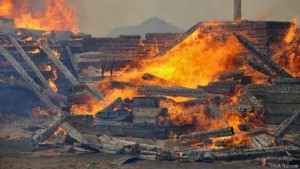 11166093_10203770074123947_1168464647_n