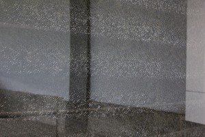 11173536_979630152060970_1028959380_n