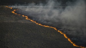 11182911_10203844915914945_1608495280_o