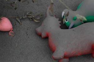 11185660_10203832036272962_650420984_n