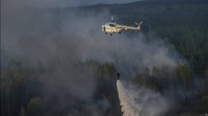 11194635_10203844915634938_1408128603_o