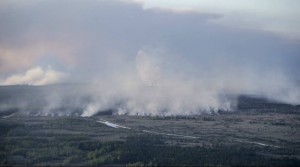 11194937_10203844915674939_285126254_o