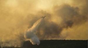 11204616_10203844916034948_594089611_o