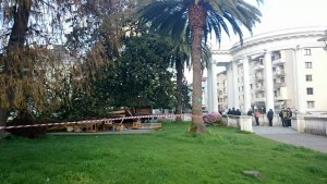 13414_738708859582422_5314595454987751391_n