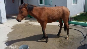 15820_833486616732810_4607517948239374092_n