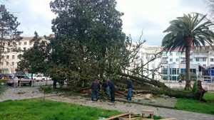 22389_738708652915776_7981014800962062008_n