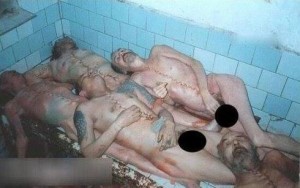 869x421xfejkk.jpg.pagespeed.ic.aVTgLbM0FBb2DvJMK1hR