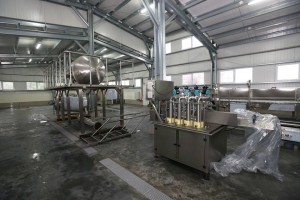 10885337_853797438044667_2199768862749442369_n