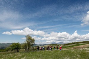 11122559_372563042939087_24975668_n