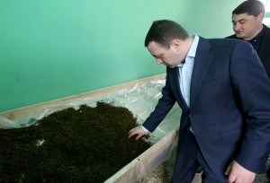 11146573_853818681375876_7422082736914915738_n