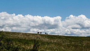 11195440_372563029605755_1463333727_n