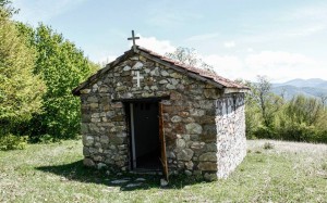 11225698_372563069605751_677462664_n