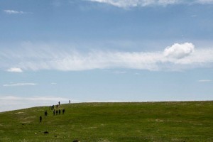 11225707_372563039605754_1679288906_n