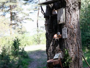 11225876_372563046272420_1533815158_n