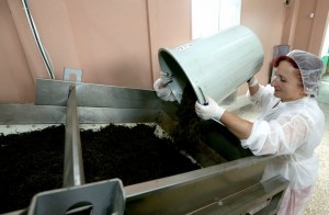 11245478_853818641375880_4168454273517861886_n