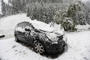 11289948_10203948165216113_404336514_n