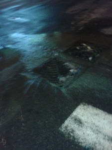 11301583_376092442586147_802407826_n