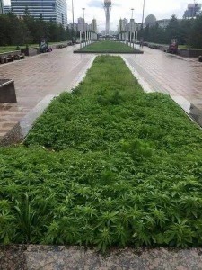 11304439_10204025504069536_1422108866_n