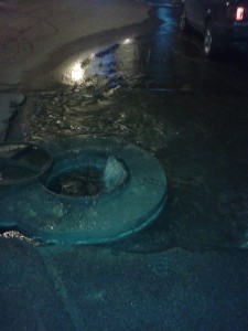 11310921_376092405919484_1865625631_n