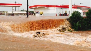 11330853_10203977682714032_1343550873_o