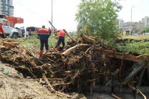 10013370_1639305162950449_5121036160773405504_o