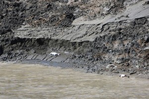 10404449_1119537128062886_1408693977135257585_n