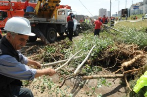 10443246_1639305166283782_4465352448717036393_o