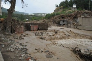 10464293_404396736419364_1438005395266885628_n