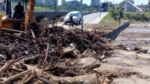 10995498_1014453135239490_4270771879277991045_n