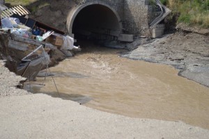 11099289_1857335224490762_3640958405471675656_n (1)