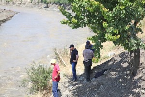 11100638_1119537351396197_6254002141051464288_n