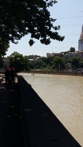 11124753_1141898902492765_398571933_n