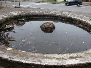 11124903_379074722298717_376748342_n